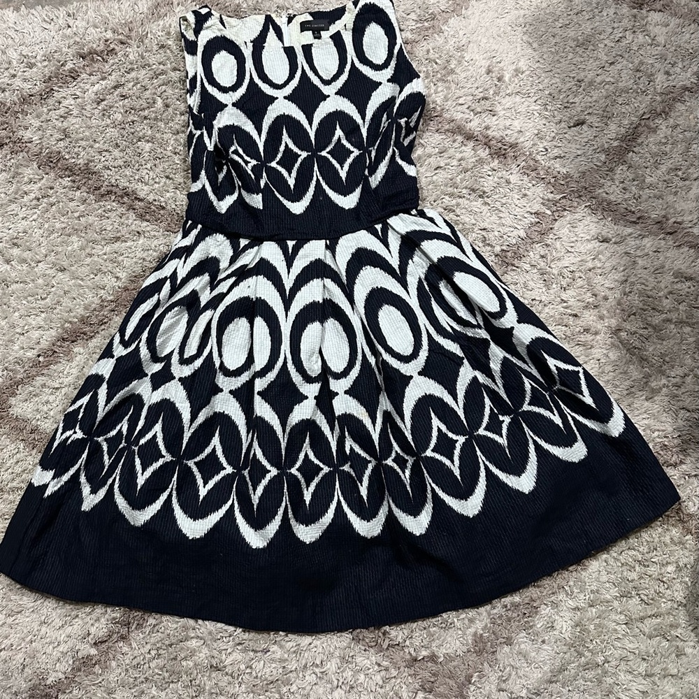 The Limited Navy Blue and White Fit and Flare Mini Dress